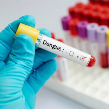 maladie cas dengue test positif